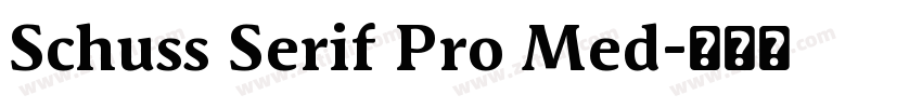 Schuss Serif Pro Med字体转换